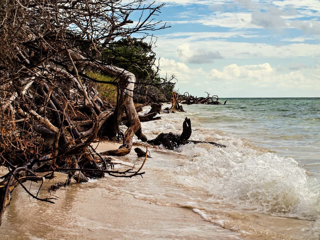 Bahia Honda Beach Battleground: One Drop at a Time