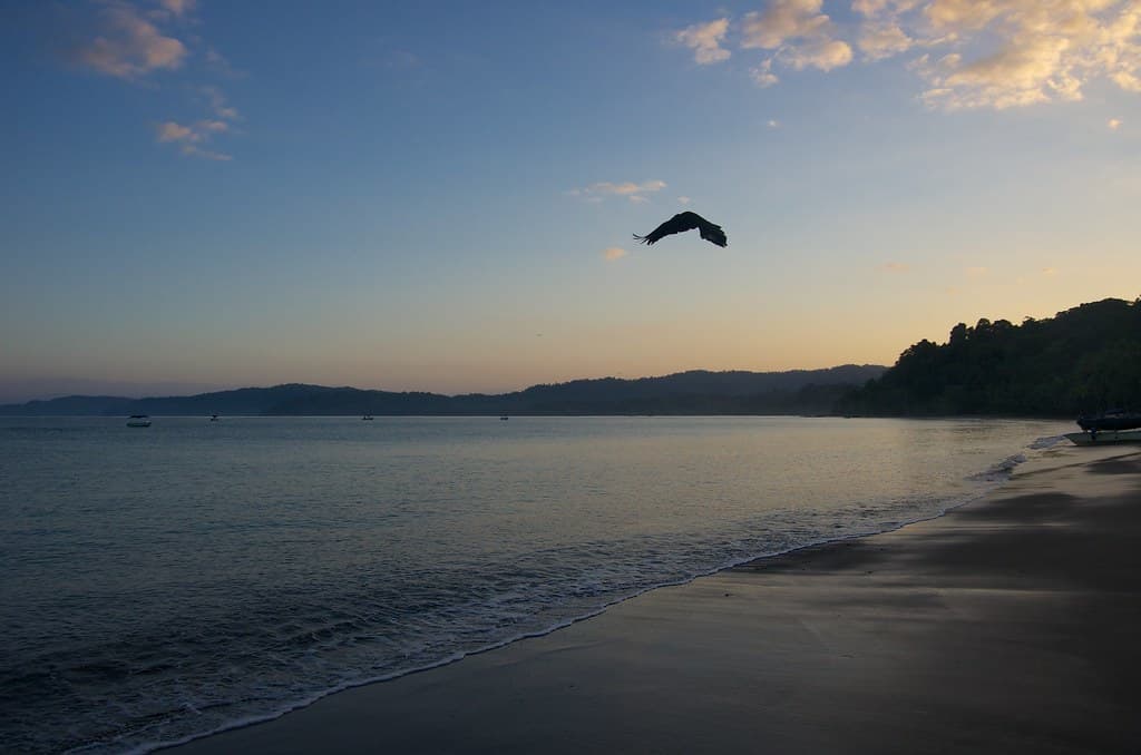 Playa Las Caletas — photo by robnunn