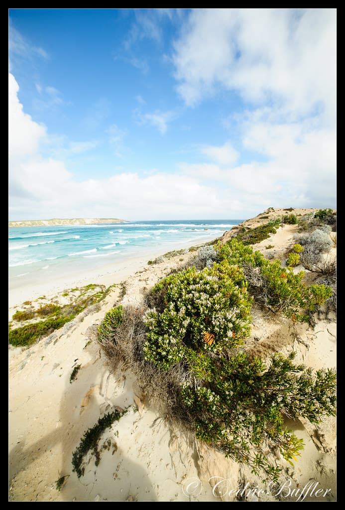 Coffin Bay, beach