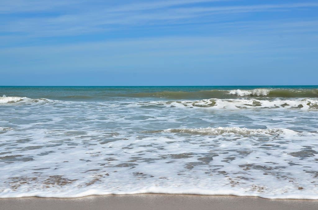 Canaveral National Seashore