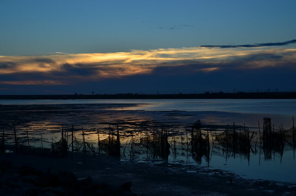 Cigu Beach — photo by 陳小得