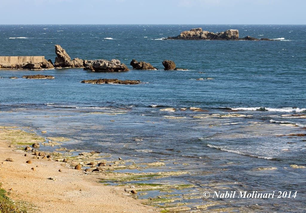 Alger Plage — photo by Nabil Molinari Photography (15 Million views, Than