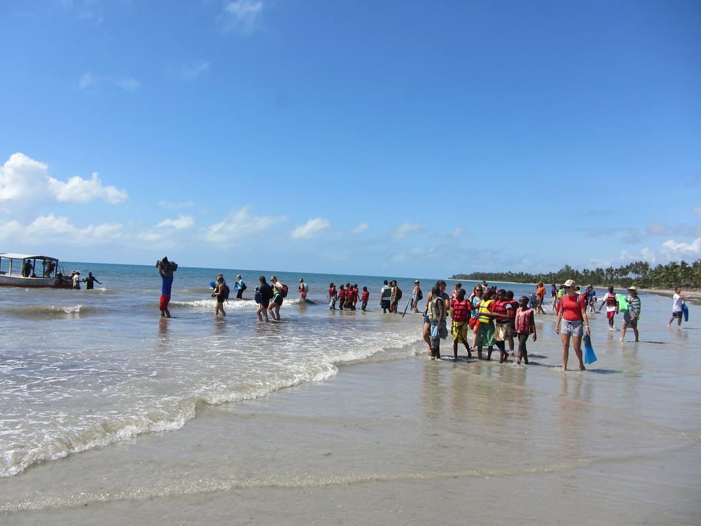 Pangani Beach — photo by algaedoc