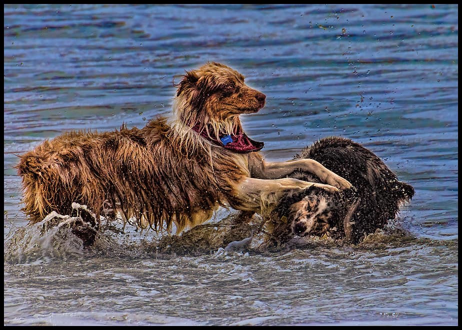 622106143rd-upload-beach