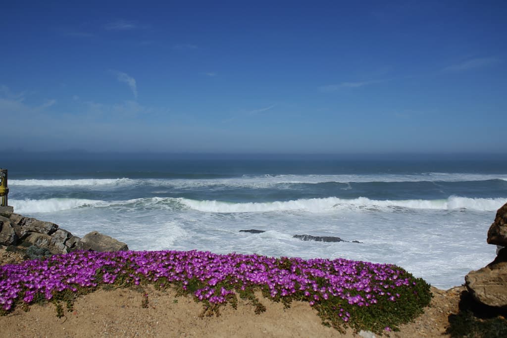 Praia da Rainha — photo by hans pohl