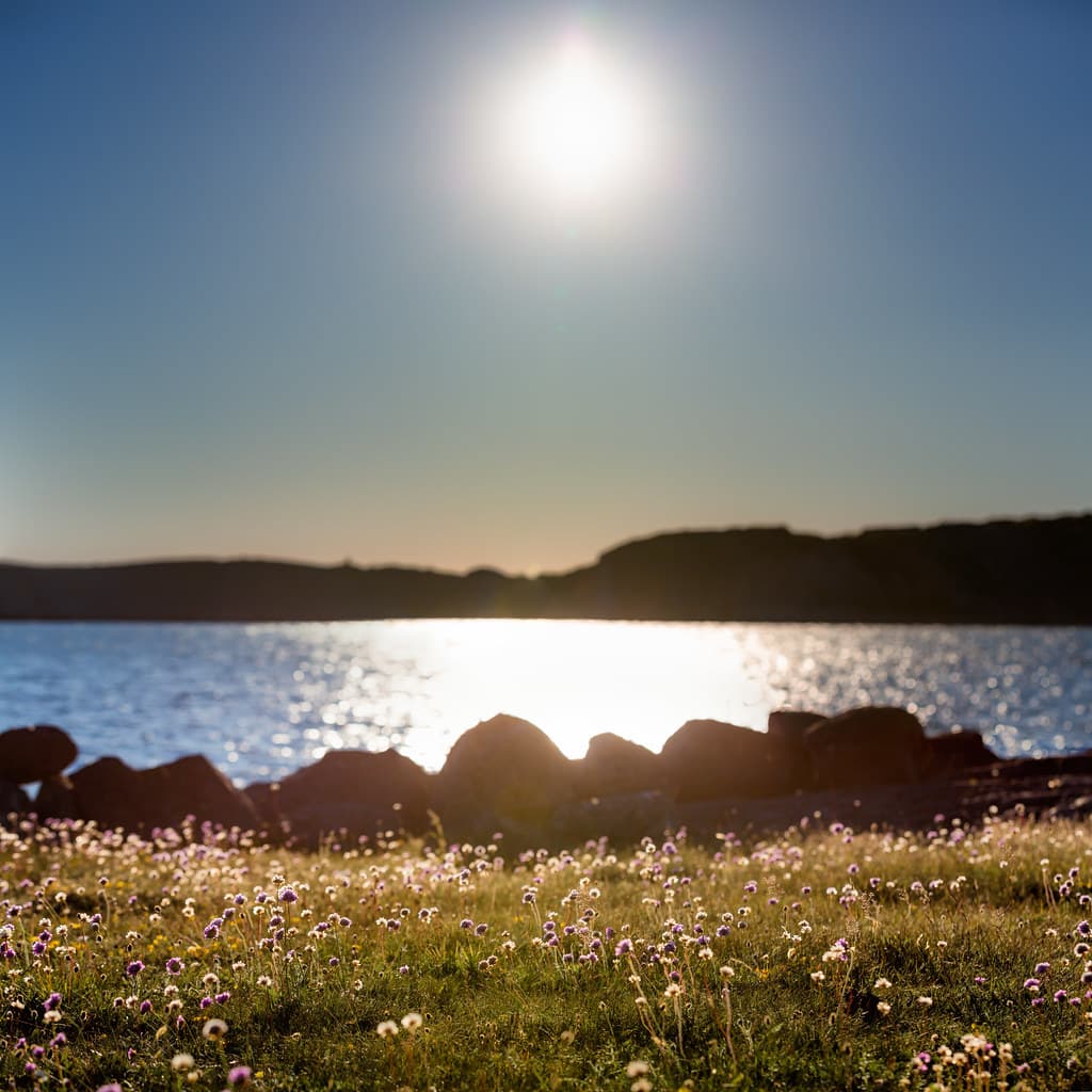 Dannemark Beach — photo by Ulf Bodin