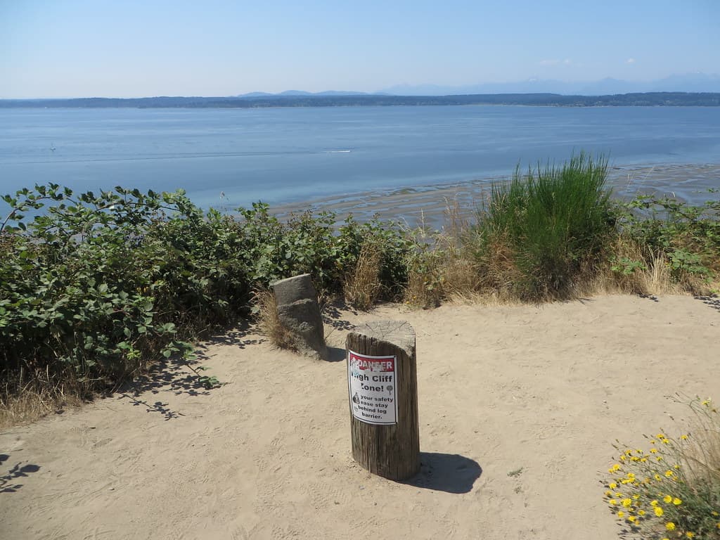 Magnolia Bluff
