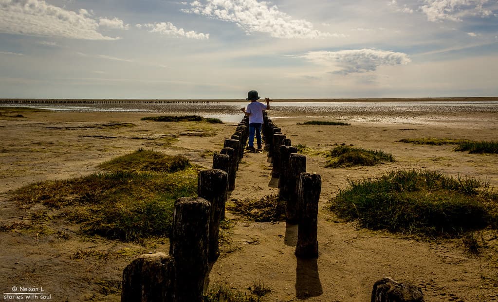 Mandø Beach