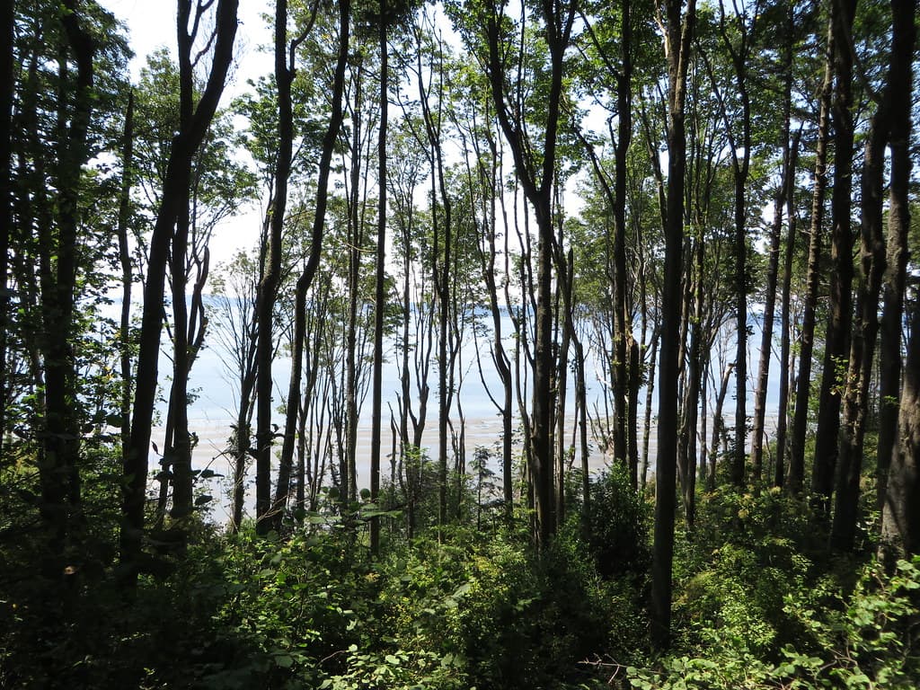 Discovery Park