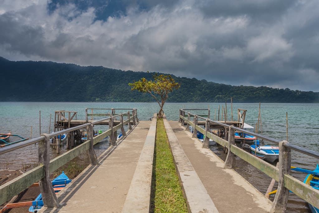 Tree at Danau Beratan