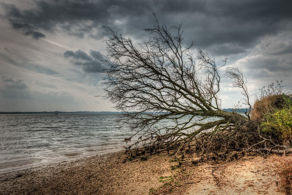 Mistley Towers Beach — photo by Mark Seton