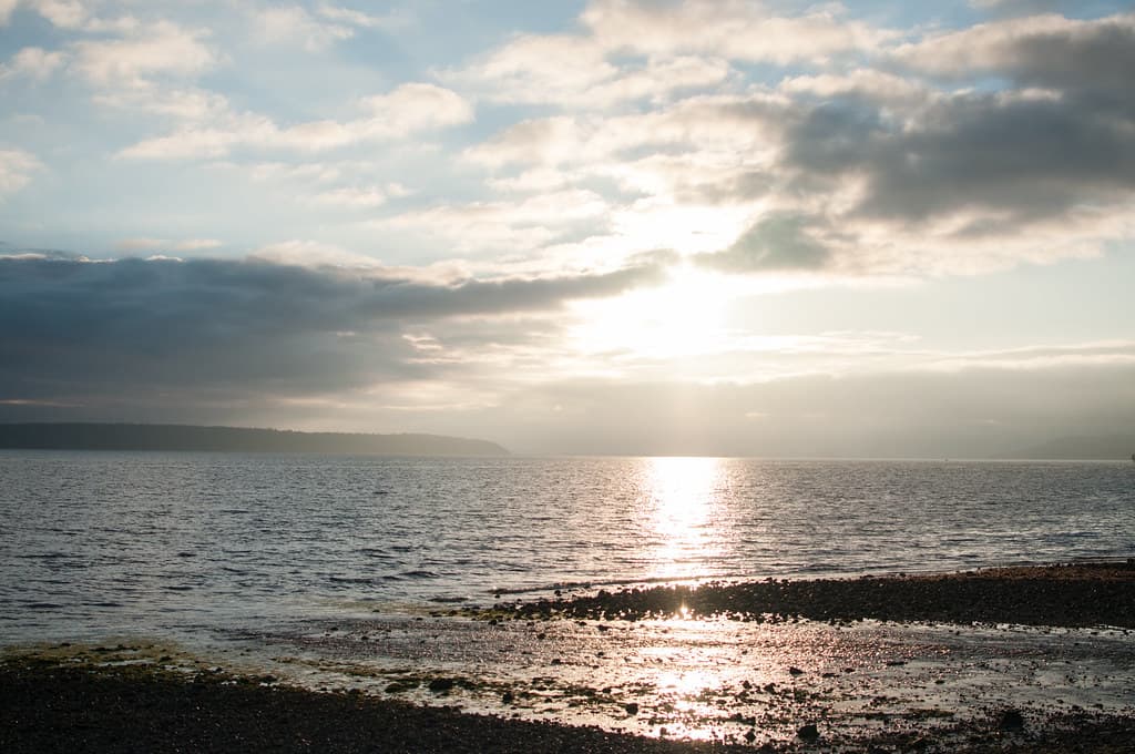 Willingdon Beach — photo by michellerlee
