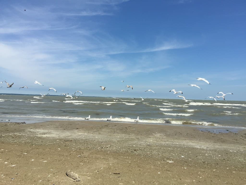 East Harbor State Park Beach — photo by ronnie44052