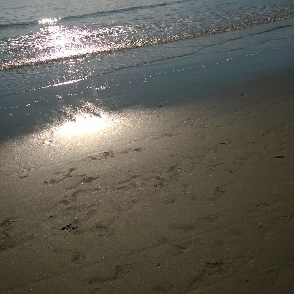 Goose Rocks Beach
