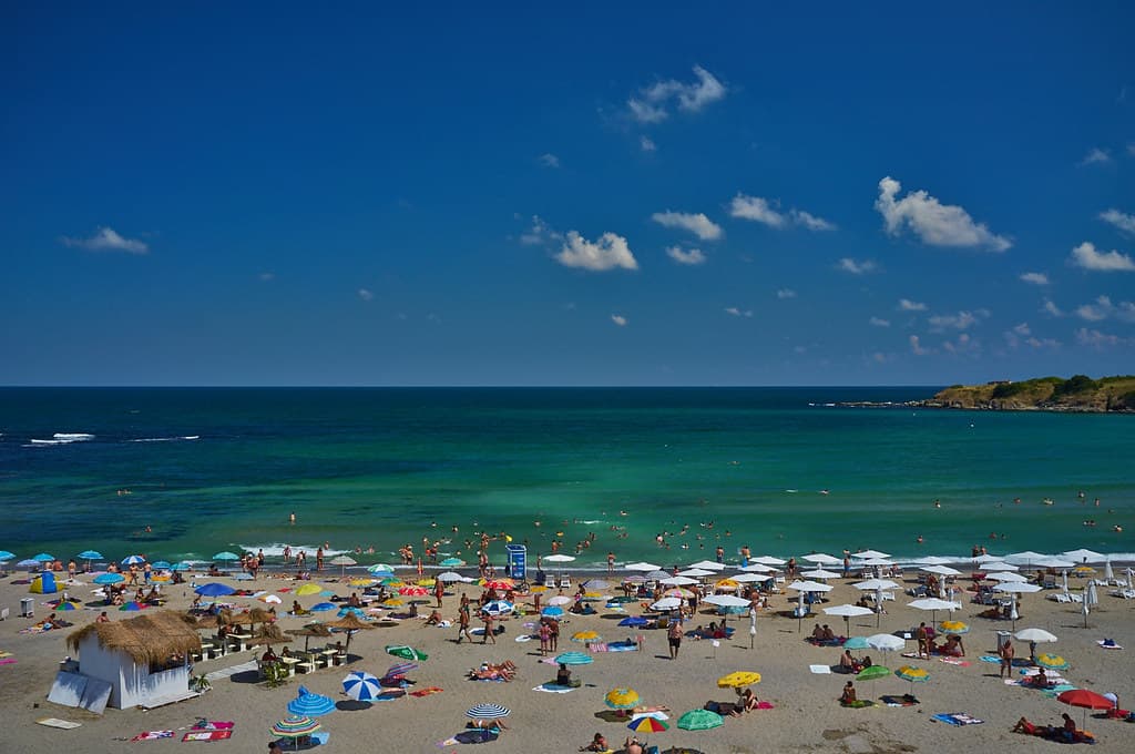 Coral Beach