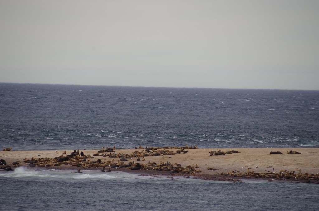 imgp0443