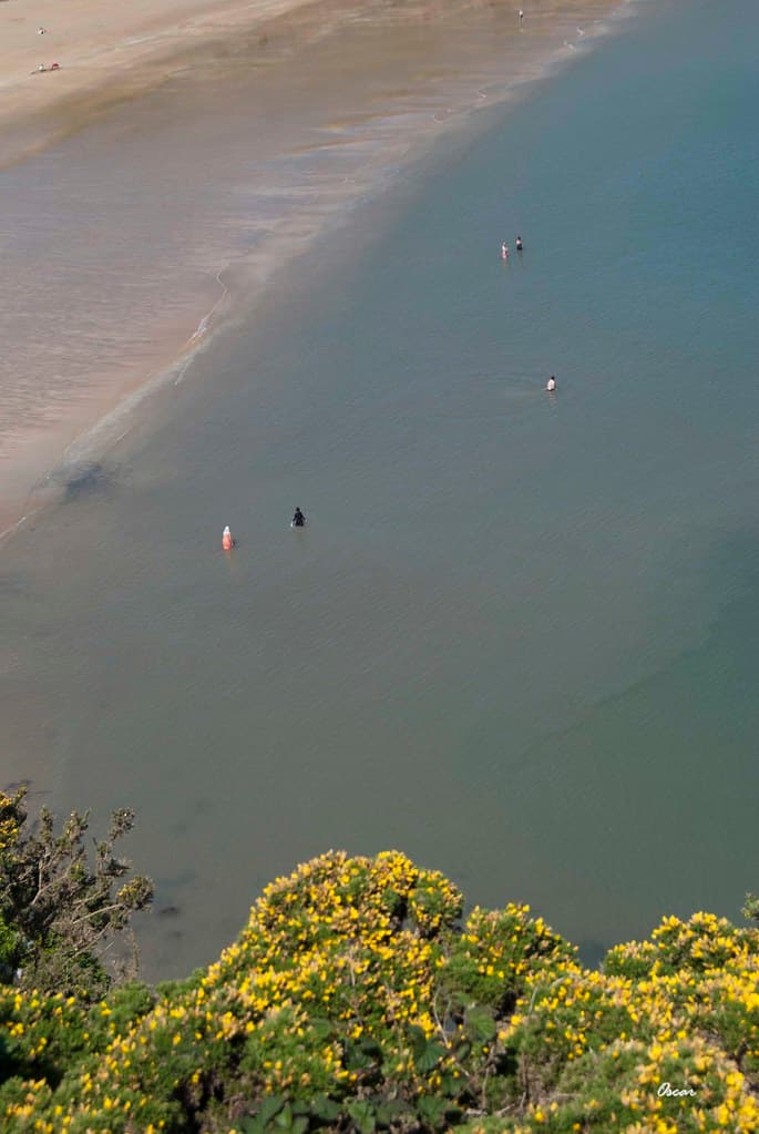 Bosherton Lily Ponds Beach — photo by https://500px.com/p/oscarfhevia