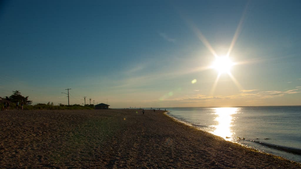 Summer Solstice 2014