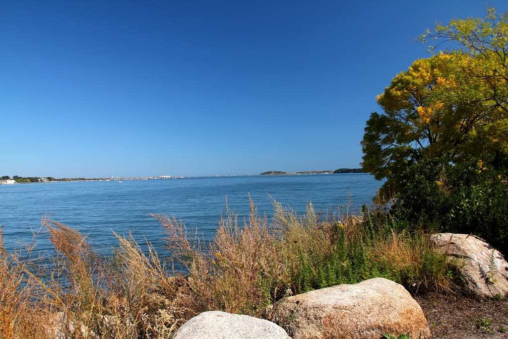 Dorchester Shores, September 27, 2014