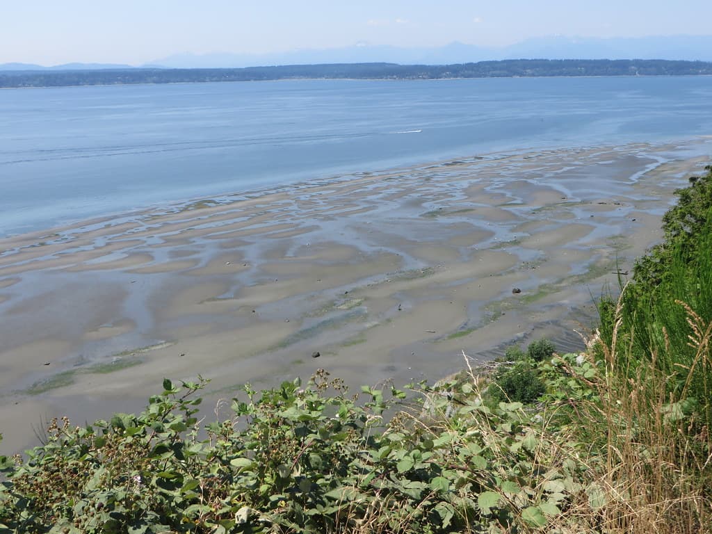 Puget Sound at low tide