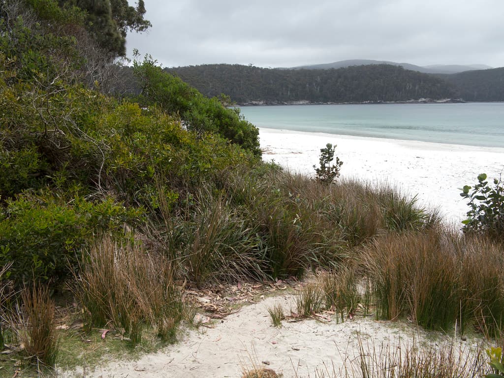 Fortescue Bay