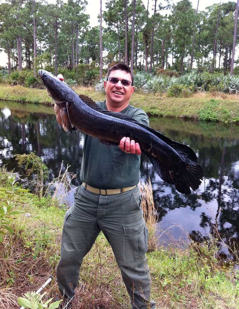 Snakehead 9.5 Pounds: NONNATIVE