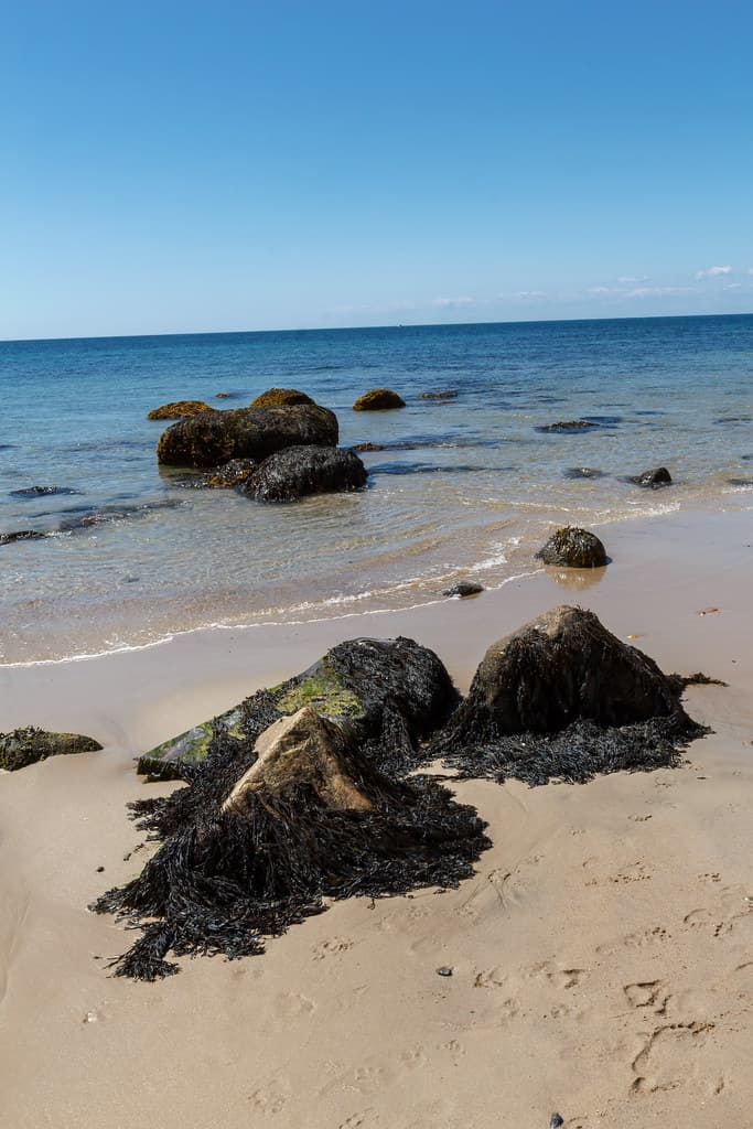 Moshup Beach