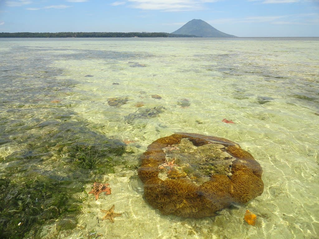 Pulau Siladen (Siladen Island), North Sulawesi,