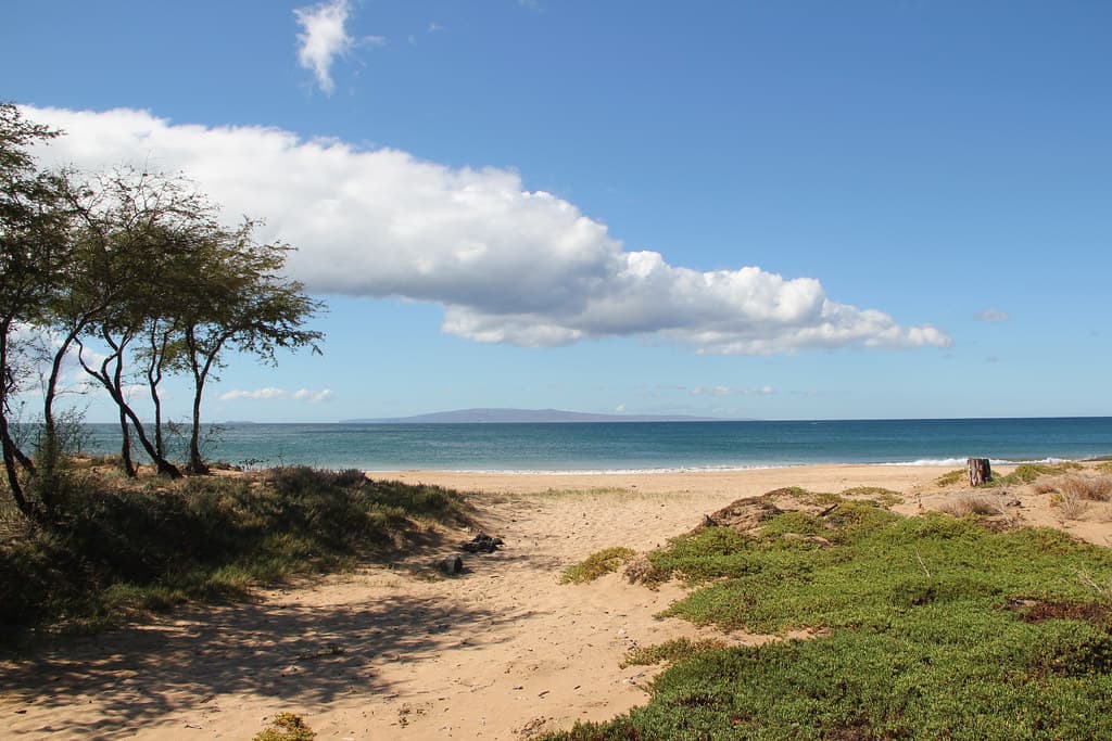 Trail to the beach