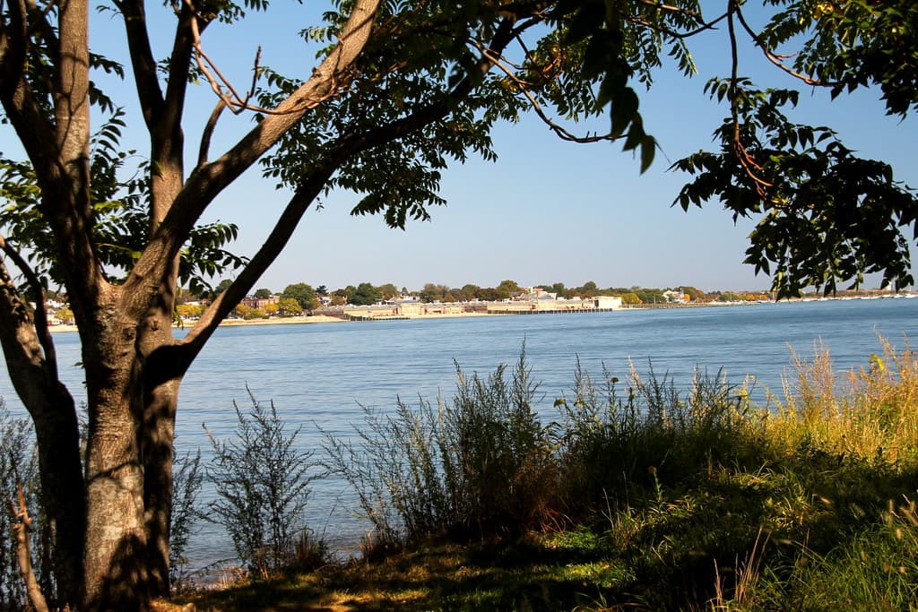 Dorchester Shores, September 27, 2014