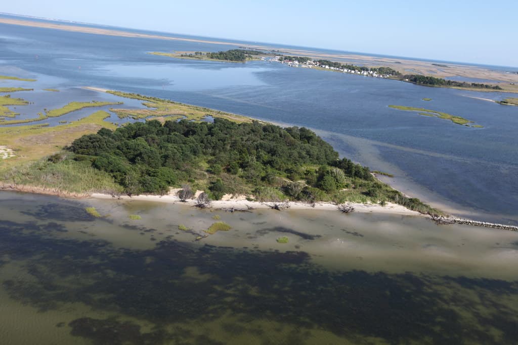 Smith Island Beach