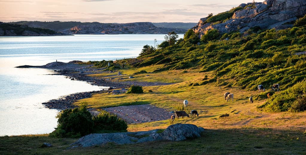 Badholmen Beach — photo by Ulf Bodin