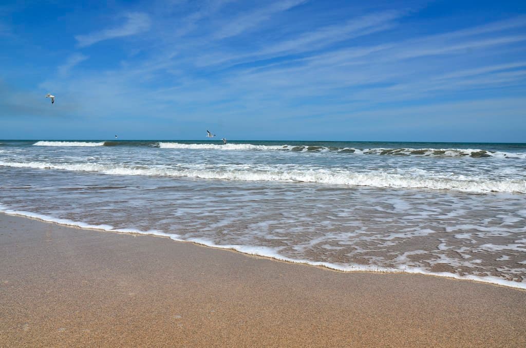Canaveral National Seashore