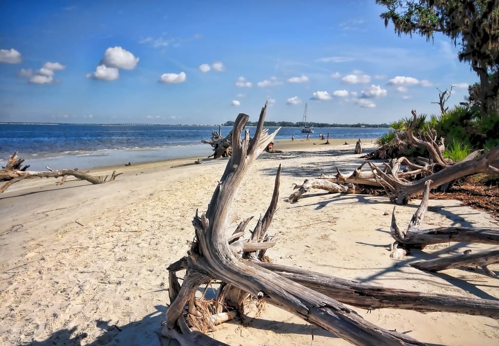 Driftwood Beach, Jekyll Island. Georgia, USA.