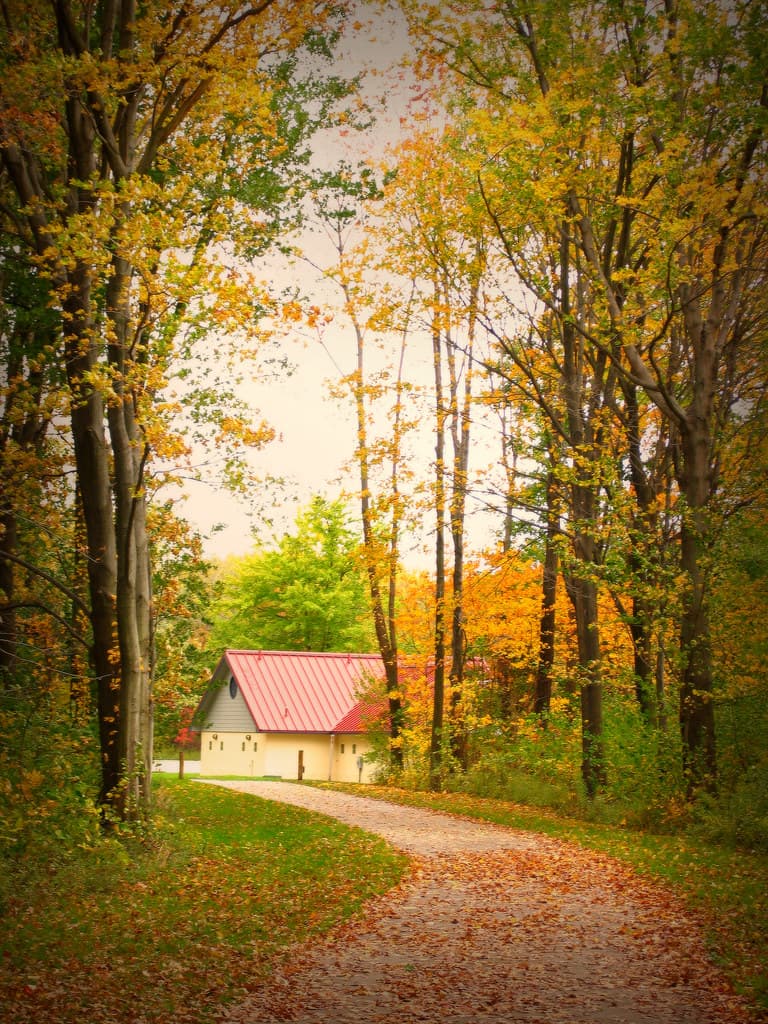A peaceful autumn walk