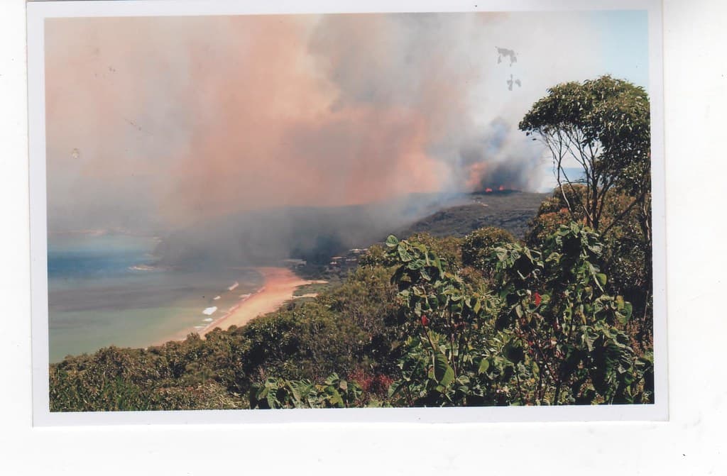 Fire above the beach