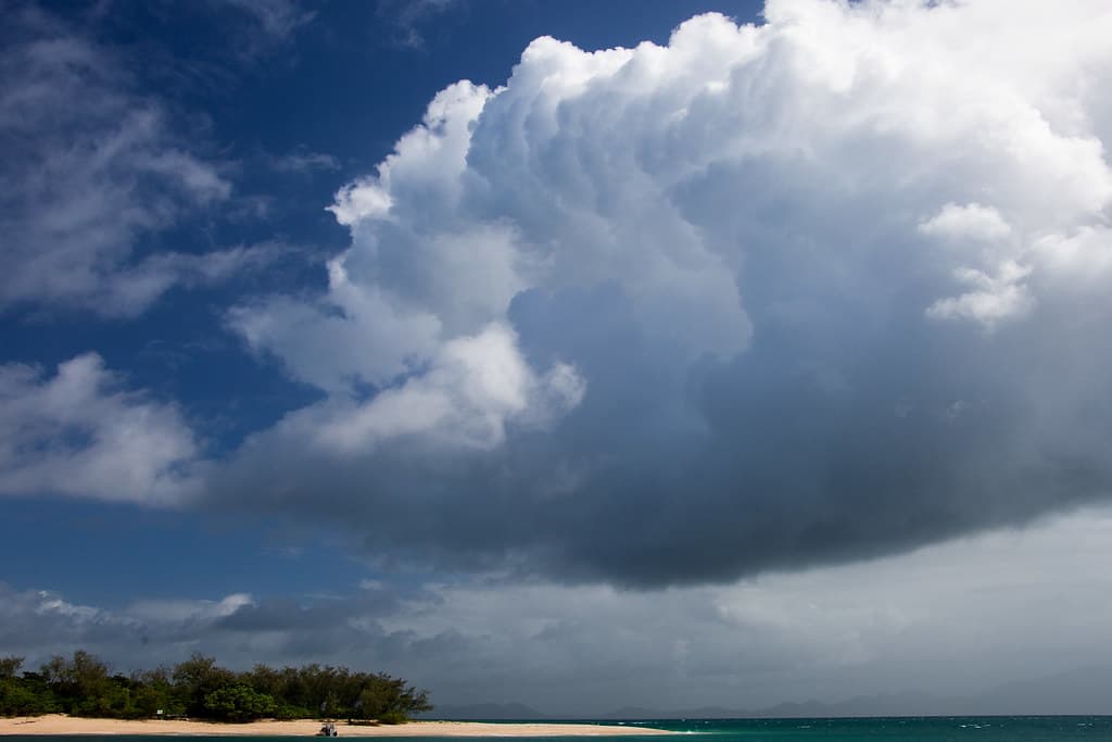 The Beach