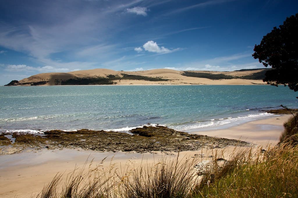 Waiotemarama Gorge Beach — photo by Birger Hoppe