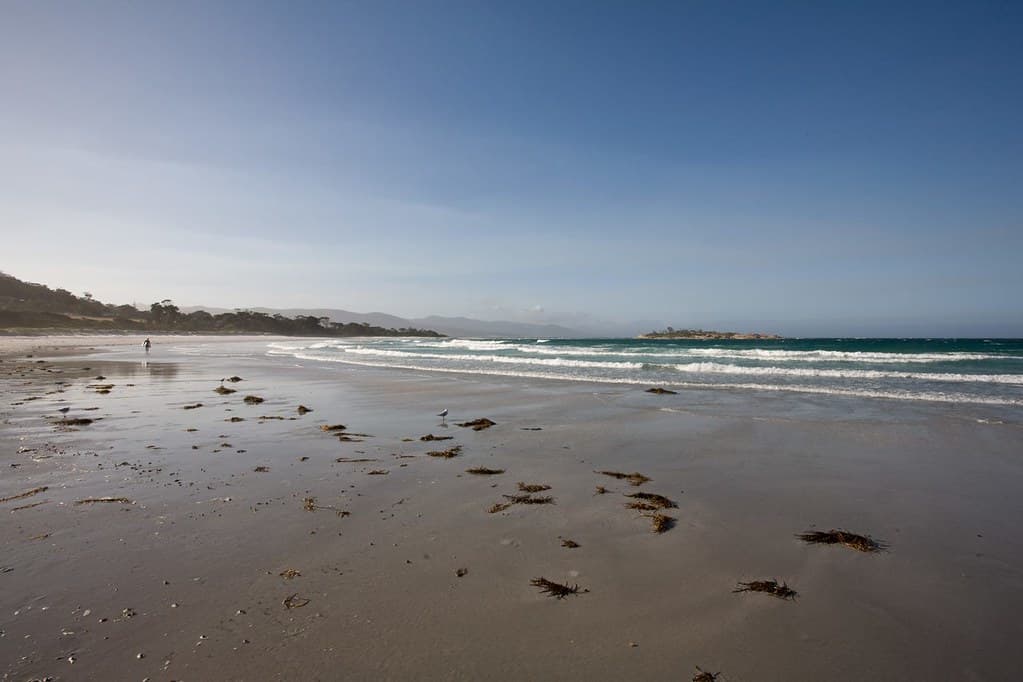 Tasmania - Australia 079