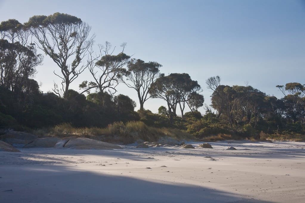 Tasmania - Australia 084