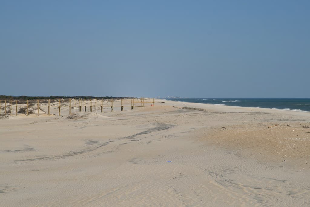 Assateague Island National Seashore