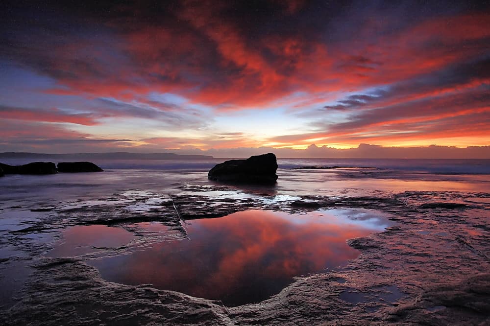 Whale Beach