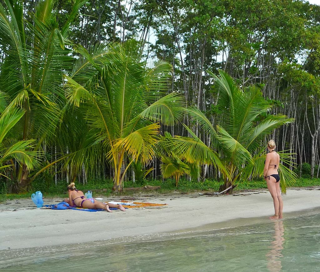 Beach Scene