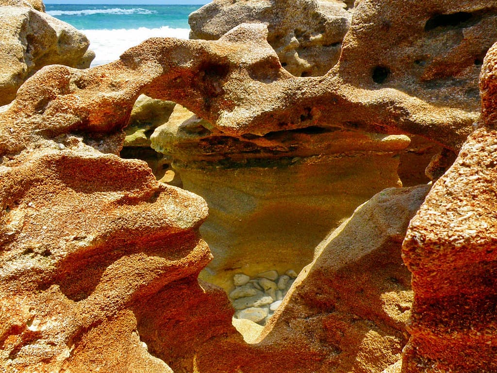 Close-up Coral Cove Park, Jupiter Island Florida