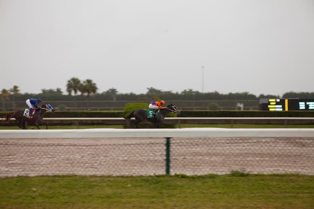 Horse Race Track - Miami, FL