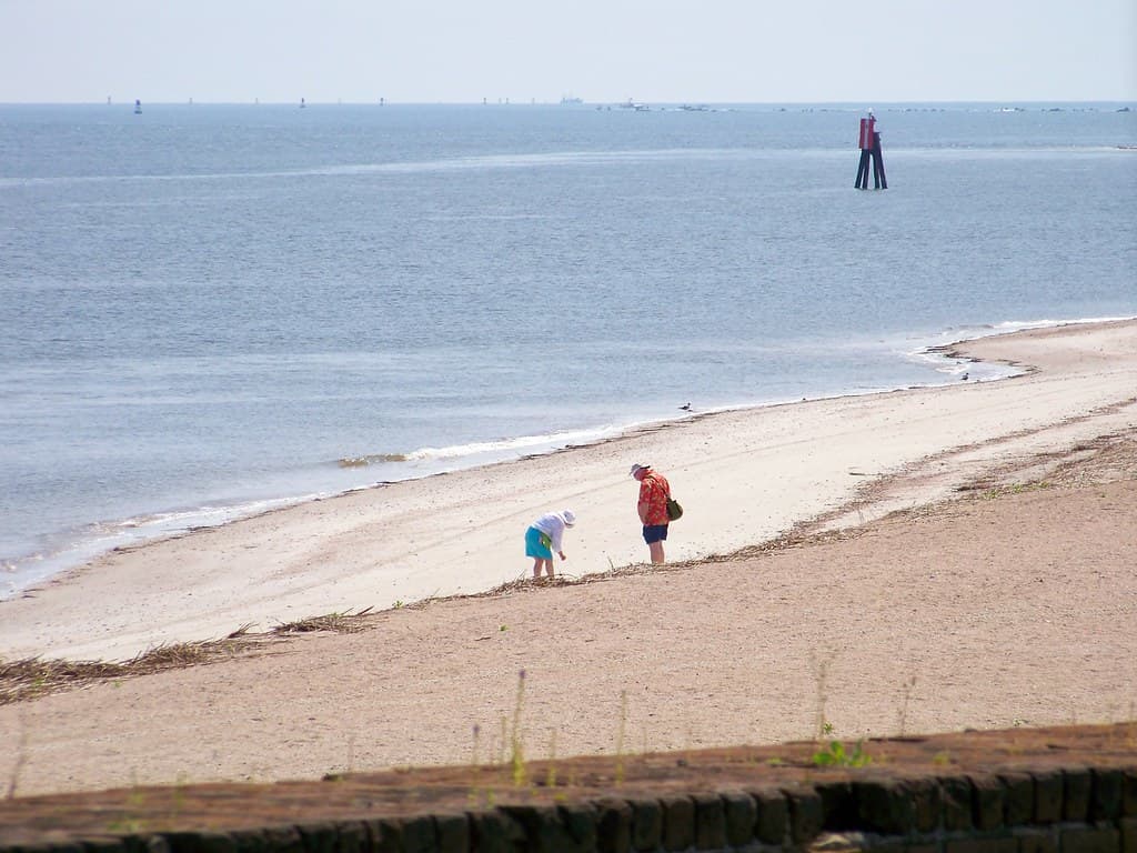 Beachcombing