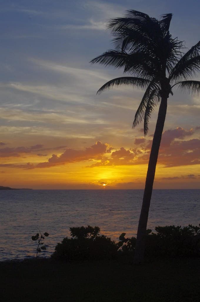 Jamaica2010-37