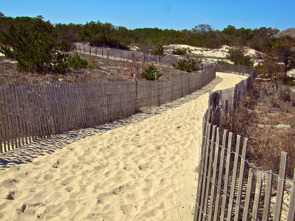 Cape Henlopen