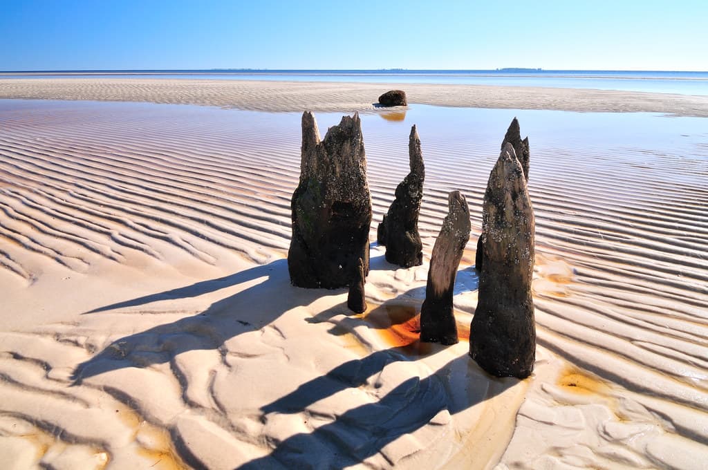 Carrabelle beach, off highway 98