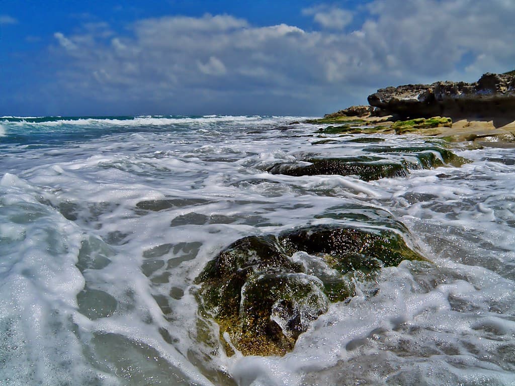 Surge: Blowing Rocks Nature Preserve, Jupiter Island Florida